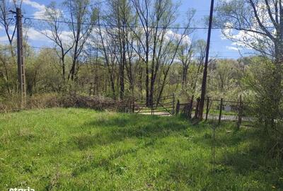 Spațiu comercial, în Plai - 2