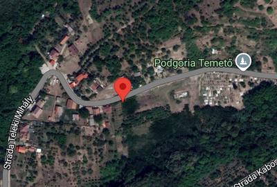 Teren de 1200 mp, în Podgoria - 6