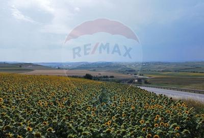 Teren agricol extravilan de 3500 mp, în Ilișești - 14