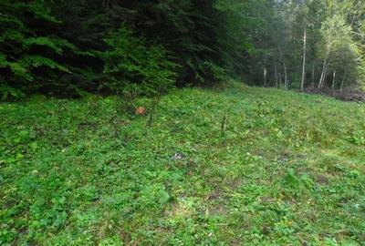 Predeal-Teren intravilan,semicentral - 1