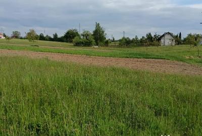 Teren de 4000 mp, în Satu Nou de Sus - 1