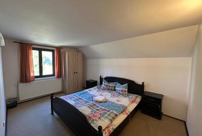 Pensiune de vanzare in statiunea Paltinis,Sibiu- Afacere la cheie - 10