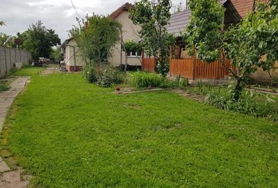 Casă spațioasă cu teren generos în Deta - 1