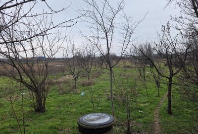 Casă cu 2 camere în Proaspeți - 1