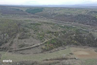 Teren de 8114 mp, în Holod - 4