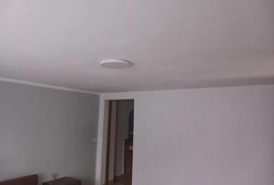 Casă cu 2 camere în Chistag - 9