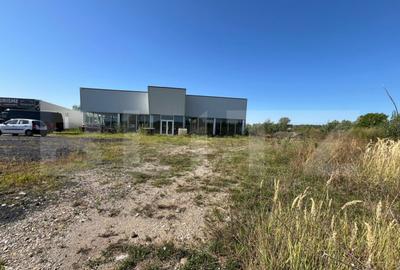 Hale industriale de inchiriat 2.300 mp teren, 2 hale c - 11