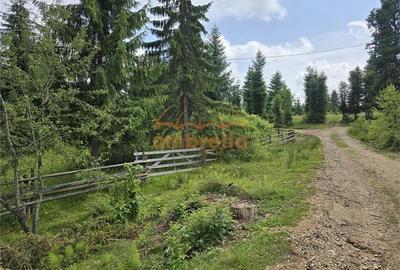 Teren de vanzare intravilan Dealu Negru, com.Calatele, jud. Cluj 1.500/? - 1