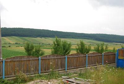 Casă cu 5 camere cu Teren 3500 Mp în Central