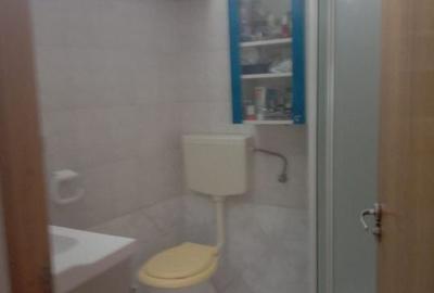 De vanzare Apartament 3 camere + pod in Vila, Vasile Lascar - Eminescu - 10