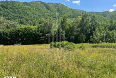 Teren de 4600 mp, în Central - 11