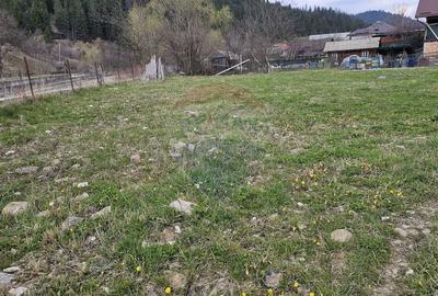 Teren Construcții intravilan de 1520 mp, în Hangu - 7