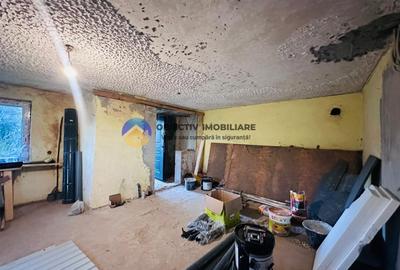 Casa + teren de vanzare – Savinesti - 16