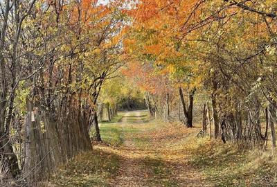 Teren Premium 1559 mp, Brebu Manastirei Refugiu Montan la 120 km de Bucuresti, - 4