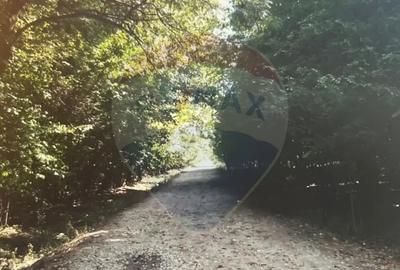 Teren de 1430 mp, în Ciofliceni - 2