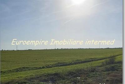 Teren de 25000 mp, în Agigea - 1