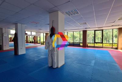 Cladire mixta - cu chiriasi- 1053 mp #plus-imo.ro - 1