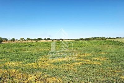 Teren de 6150 mp, în Zădăreni