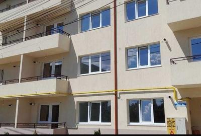 Apartament cu 2 camere semidecomandat în Valea Lupului - 4