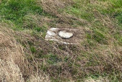 Teren Construcții intravilan de 1212 mp, în Palazu Mare - 7