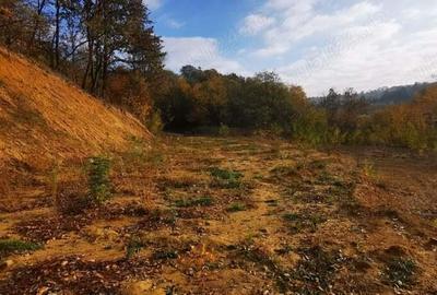 Teren intravilan 2 nivele PUZ spatii comerciale si locativ 1500 respectiv 2000 mp - 1