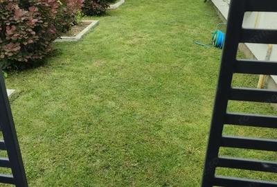 Casă în Lugojului - 8