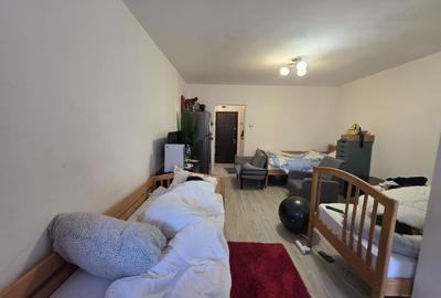 Garsonieră semidecomandată în Dristor - 5