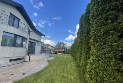 Cornu de Jos Doua case moderne, crama la subsol, prosumato - 3