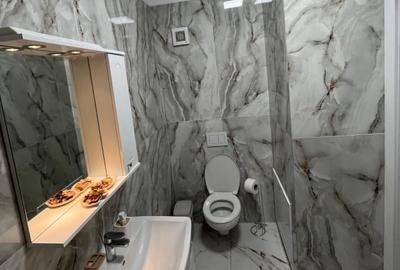 Proprietar inchiriez apartament Calea Torontalului - Aradului - 4