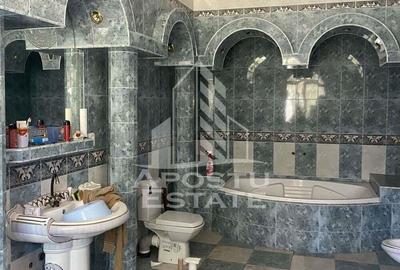 Doua case in aceea?i curte - 4