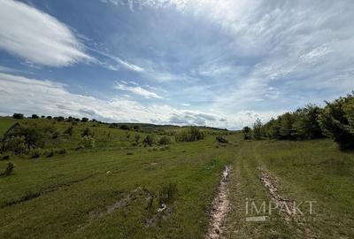 Teren de vânzare în Salistea Noua! - 2