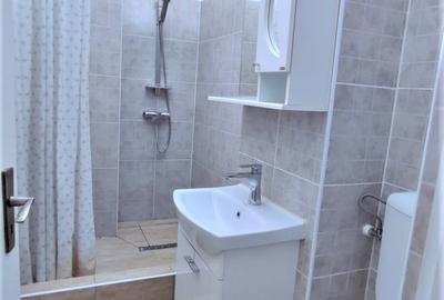 Ap. 1camera ICFrimu, CT, renovat, mobilat - 4