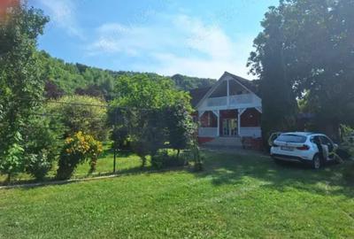 Casă cu 3 camere în Braniștea - 3