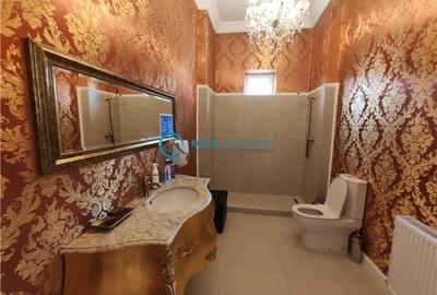 Royal Imobiliare -vanzari vile zona Ultracentral - 18