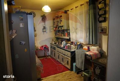 Casă cu 4 camere în Bârsana - 19