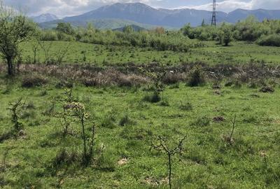 Spațiu comercial, în Racovița - 6