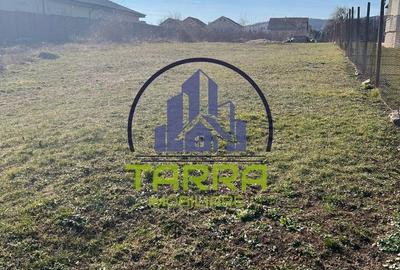 Spațiu comercial, în Cetate - 3