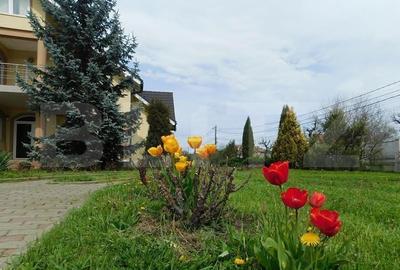 Casa cu 5 camere, 386 mp, Sangeorgiu de Mures, zona Apollo Spa - 11