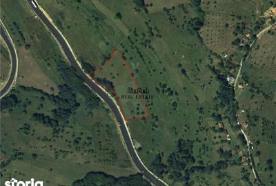 Teren de 8757 mp, în Luncoiu de Jos - 1