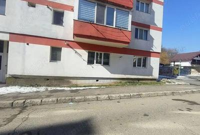 De vanzare apartament 2 camere in Curtea de Arge? langa Manastire - 8