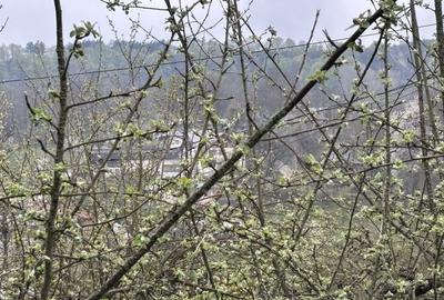 Casă cu 3 camere în Râu Alb de Jos - 2