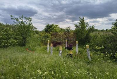 Teren Construcții intravilan de 3750 mp, în Giulești - 6