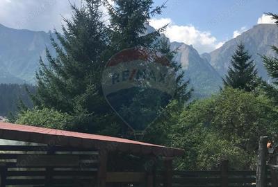 Casă cu 6 camere cu Teren 544 Mp în Cantacuzino - 2