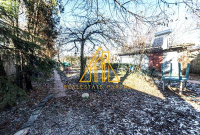 Casa superba, Adunatii Copaceni - 31