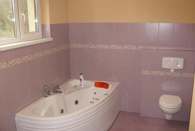 Casa Caras-Severin Resita Calnic - 8