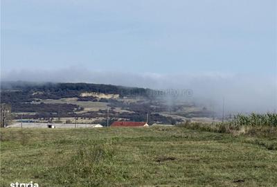 Teren de 5300 mp, în Șelimbăr