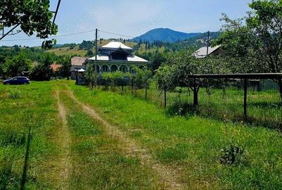 Casă cu 3 camere în Sulța - 1