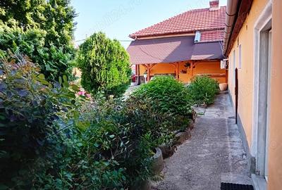 Imobil pe Calea Radnei, potrivit pentru diverse destina?ii St 500 mp - 4