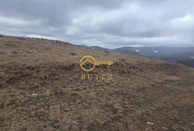 Spațiu comercial, în Rășinari - 7