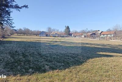 Teren de 4700 mp, în Brusturi - 2